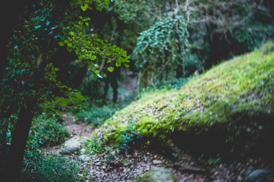 Click to enlarge image