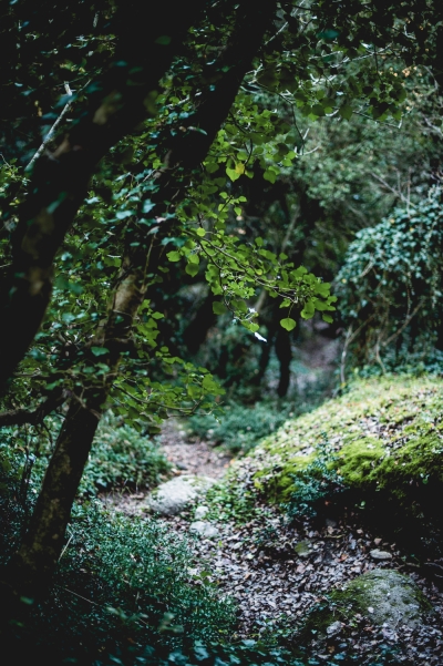 Click to enlarge image