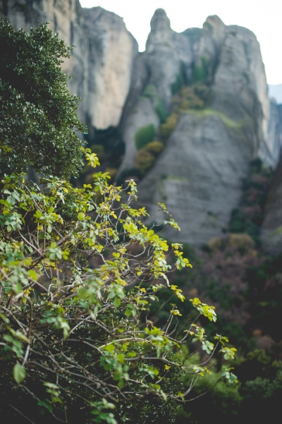 Click to enlarge image